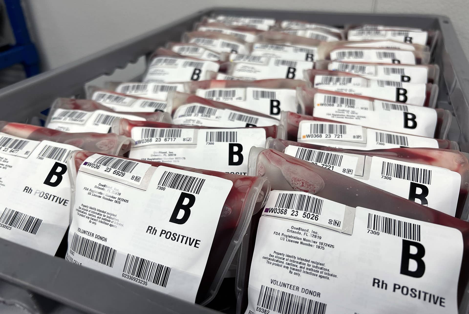 29-best-facts-about-blood-type-b-positive