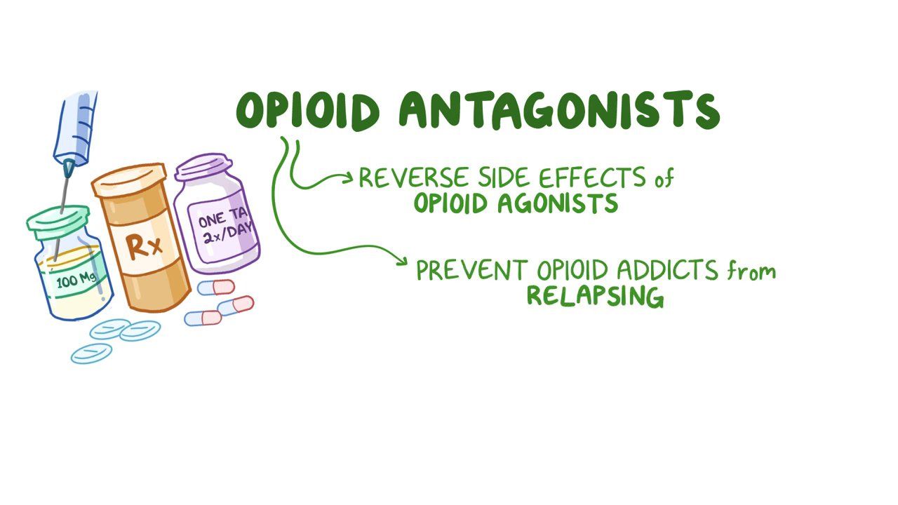 6-facts-you-must-know-about-opioid-antagonists
