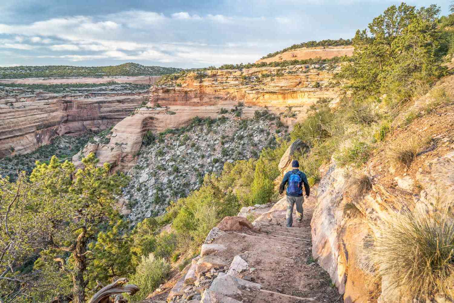 8 Facts About Environmental Initiatives In Jackson, Tennessee