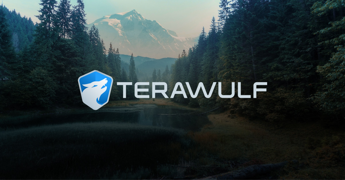 8-facts-about-terawulf