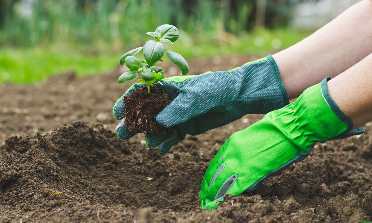 9-best-gardening-gloves