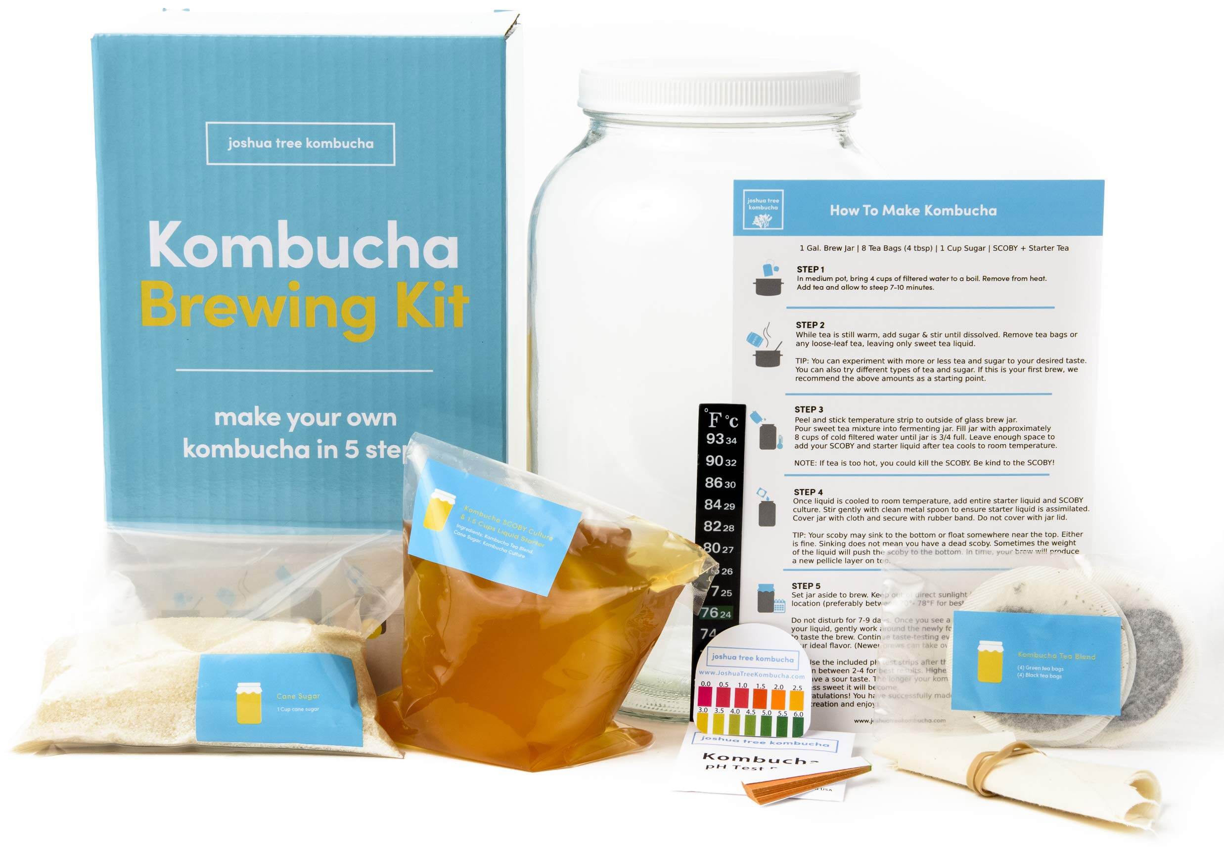 Kombucha Scoby and 12 oz. Starter Tea – Joshua Tree Kombucha