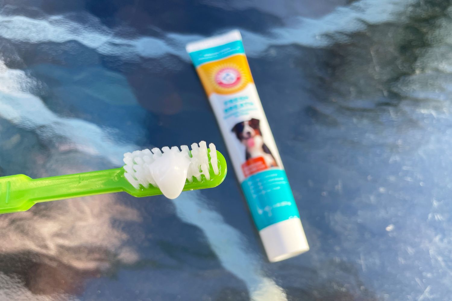 9-best-toothpastes-for-dogs