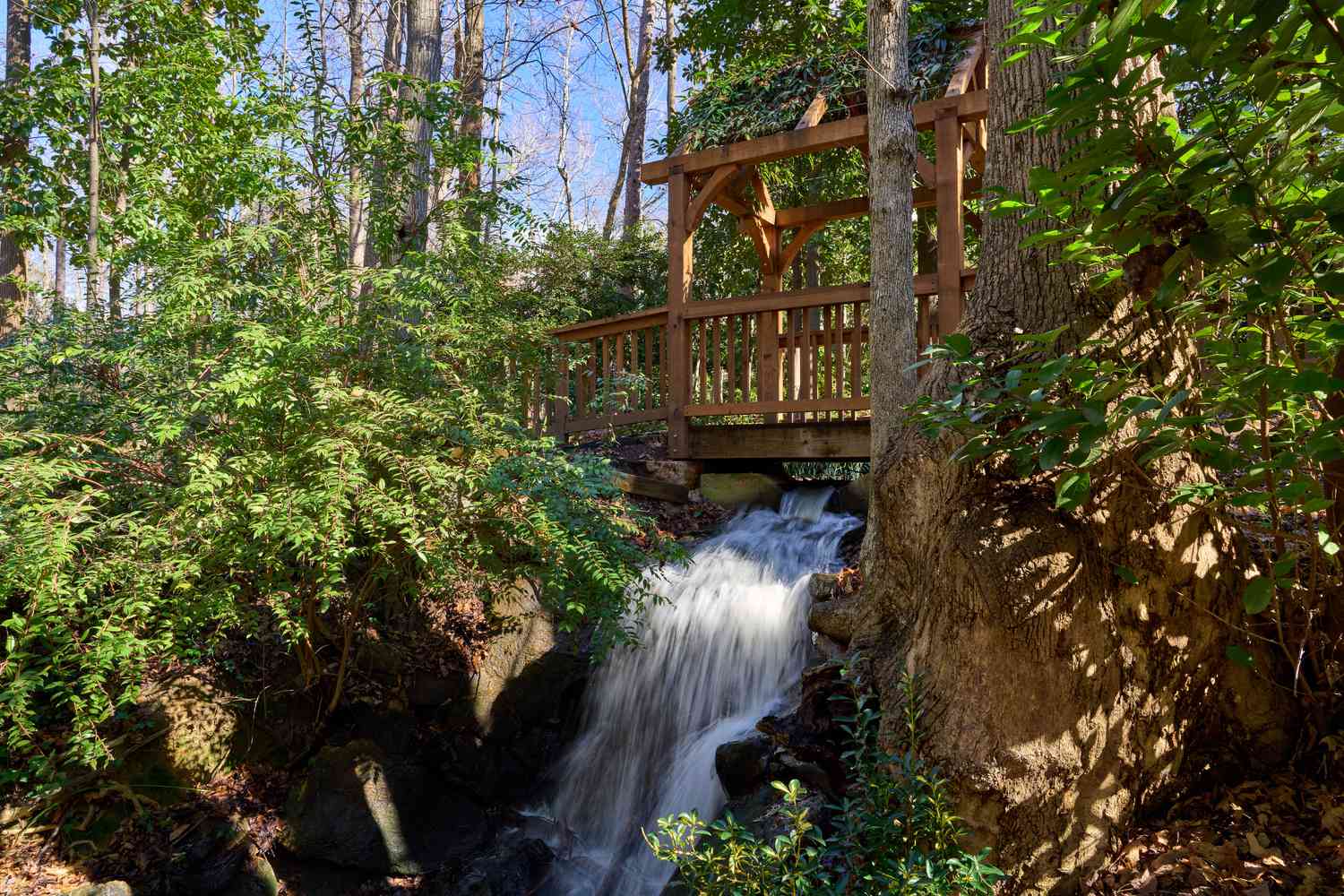 9-facts-about-natural-wonders-in-spartanburg-south-carolina