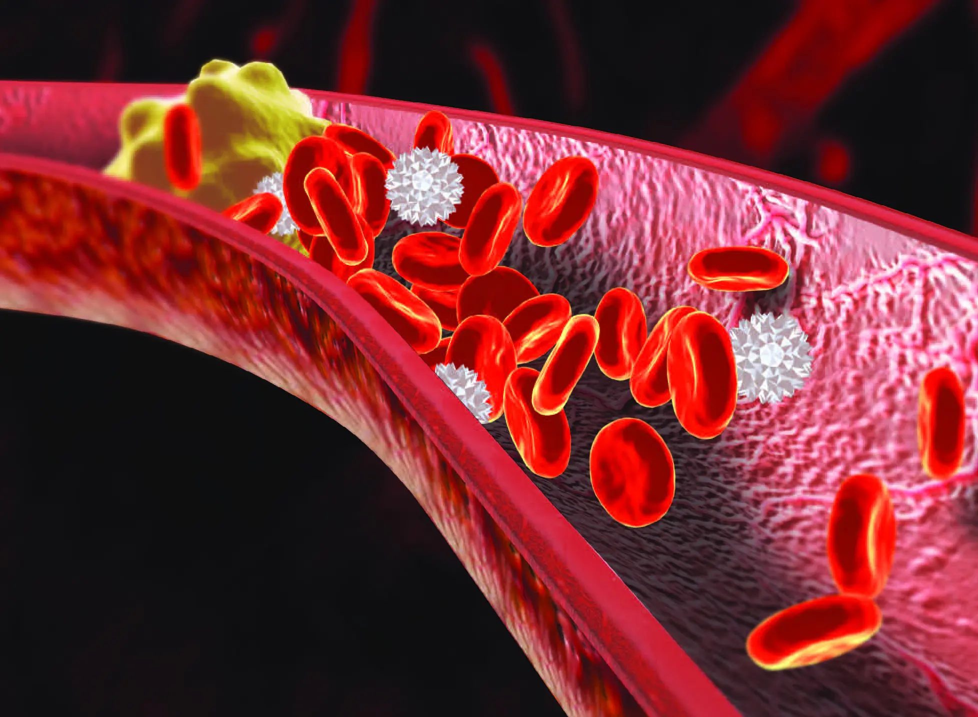 9-facts-you-must-know-about-anticoagulants