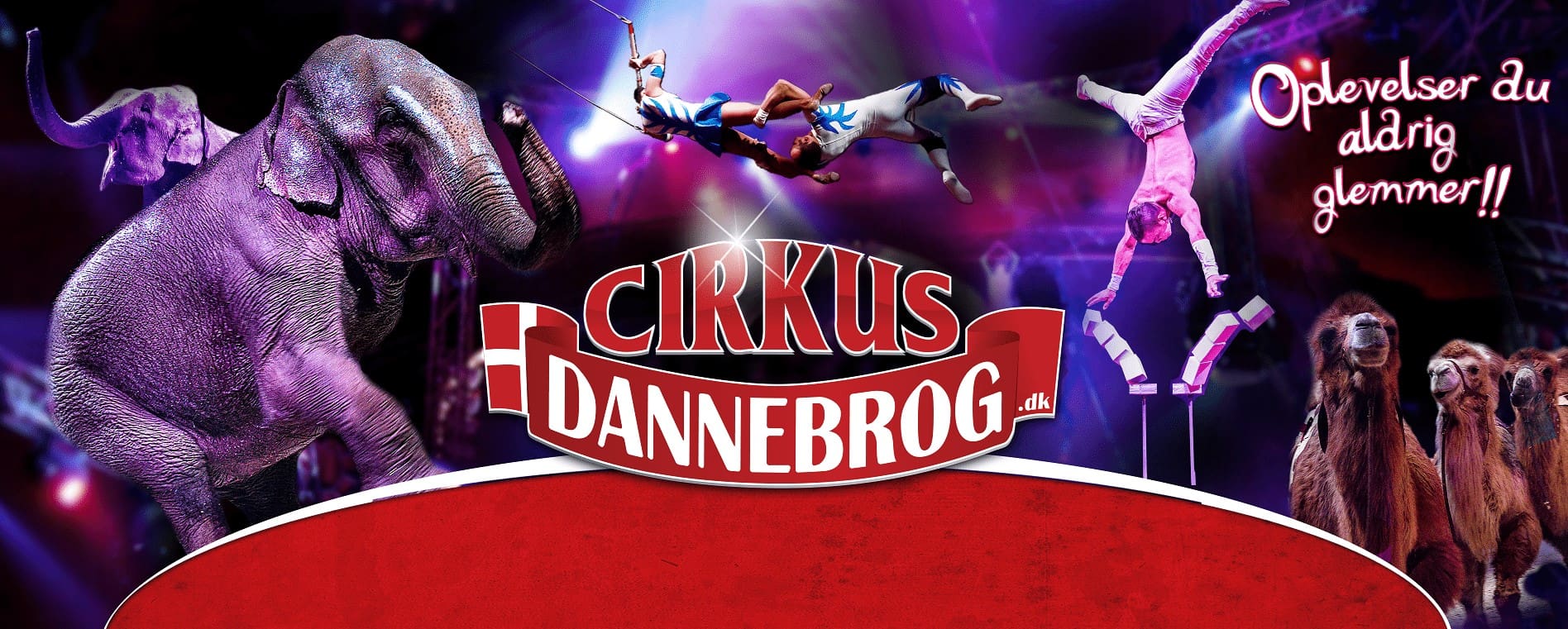 9-facts-you-must-know-about-cirkus-dannebrog