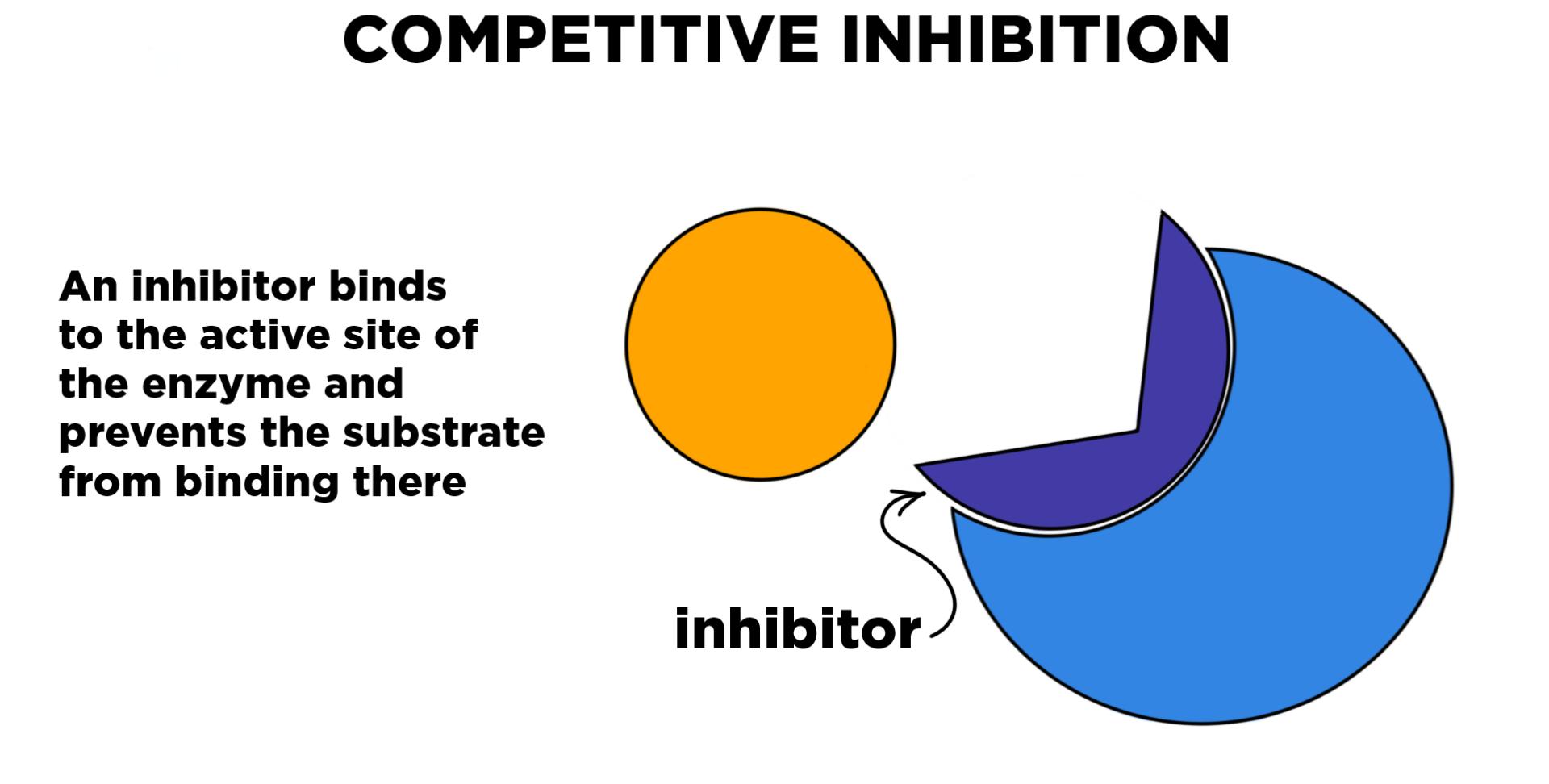 9-facts-you-must-know-about-enzyme-inhibitors