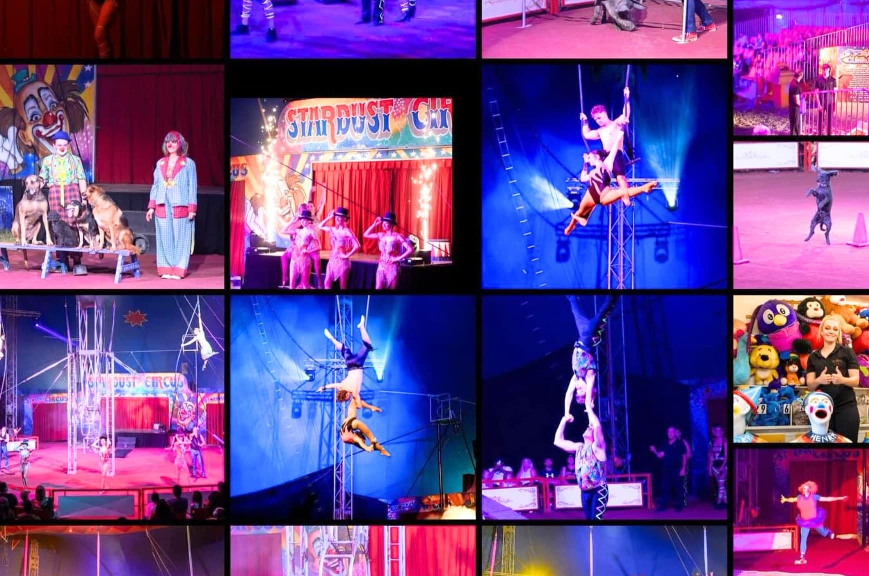 9-facts-you-must-know-about-stardust-circus