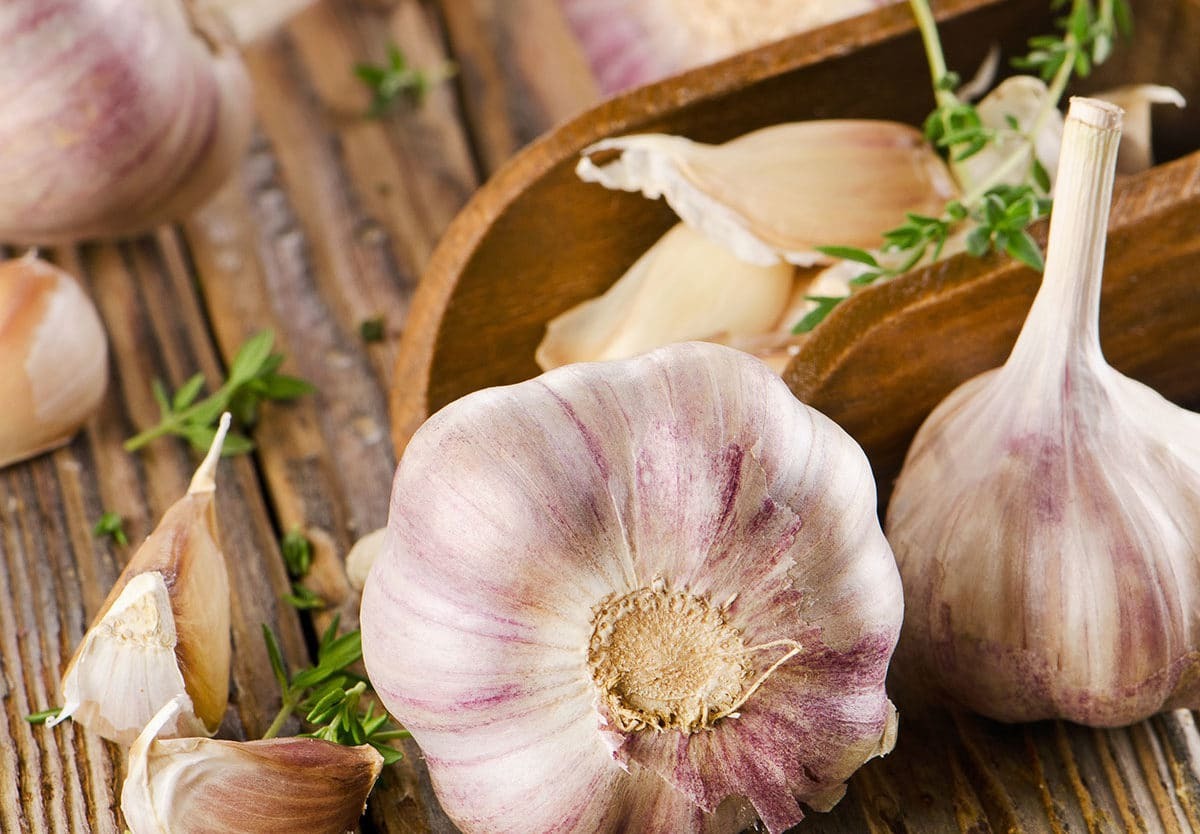 11-facts-about-national-garlic-day-april-19th