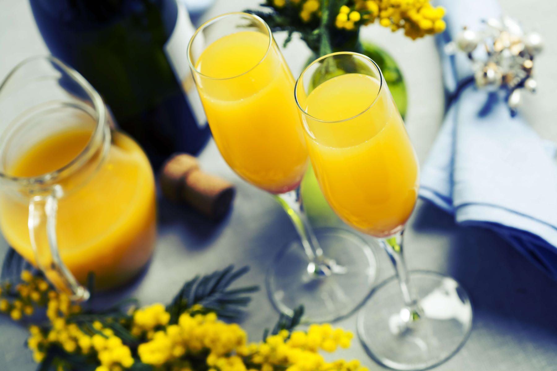11-facts-about-national-mimosa-day-may-16th