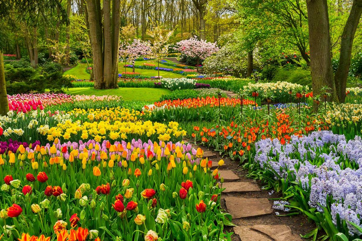 11 Facts About National Public Gardens Day May 10th 