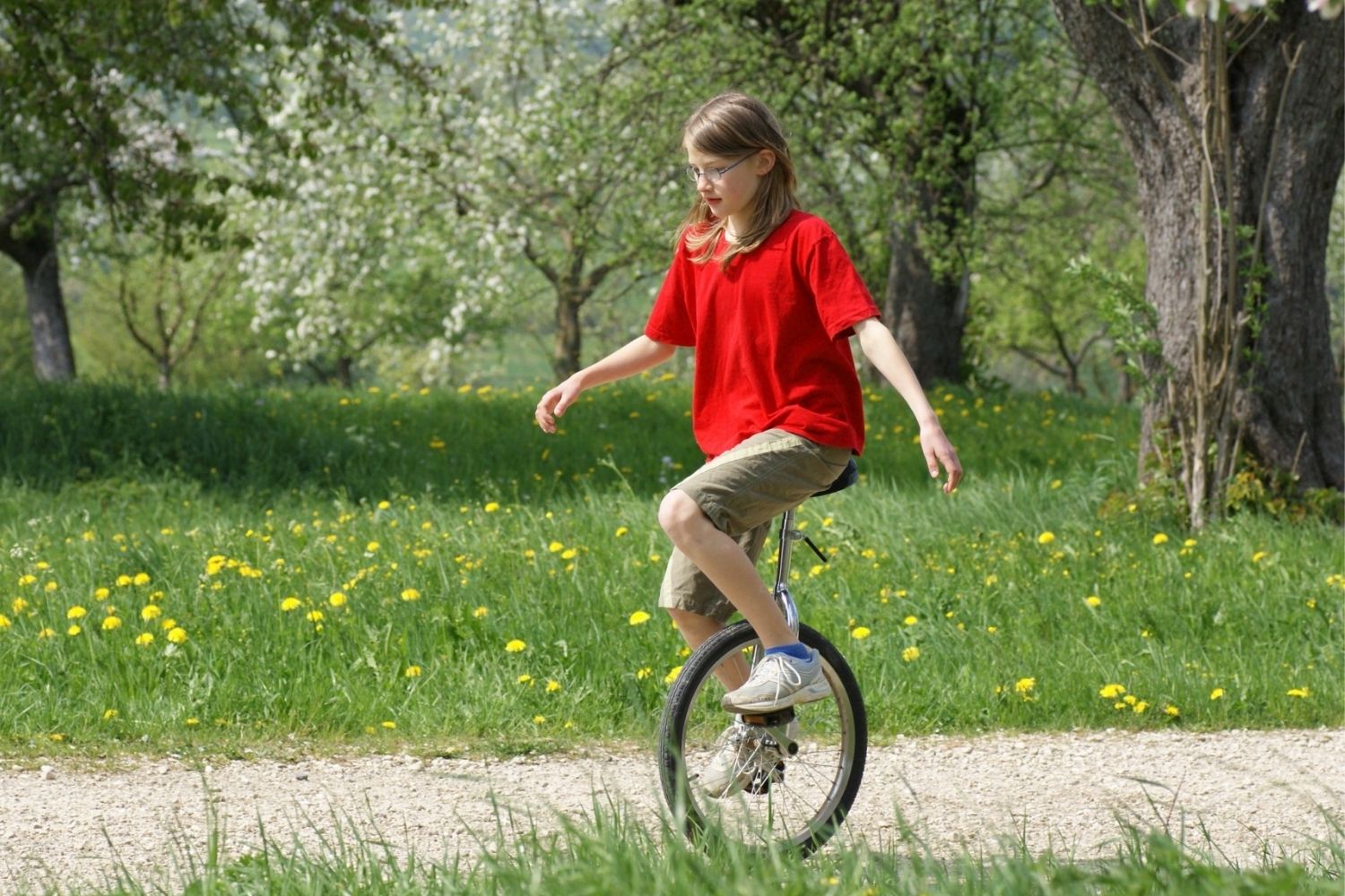 11-facts-about-ride-a-unicycle-day-may-19th