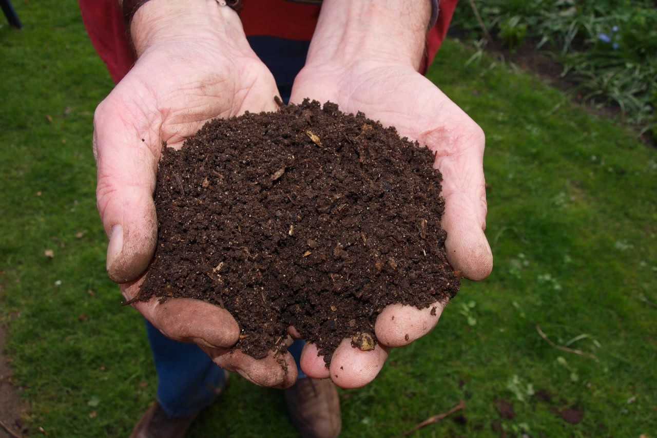 12 Facts About Learn About Composting Day May 29th 