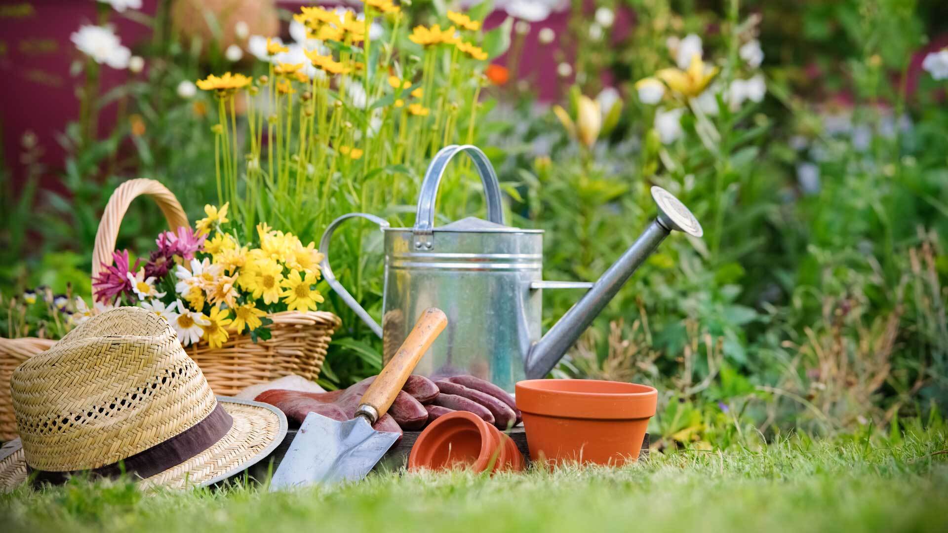 12-facts-about-national-gardening-day-april-14th