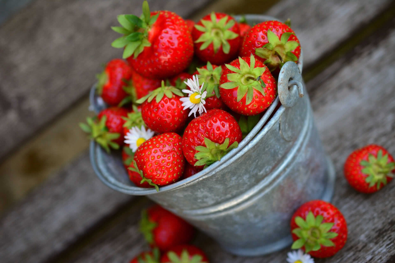 12 Facts About National Pick Strawberries Day May 20th 
