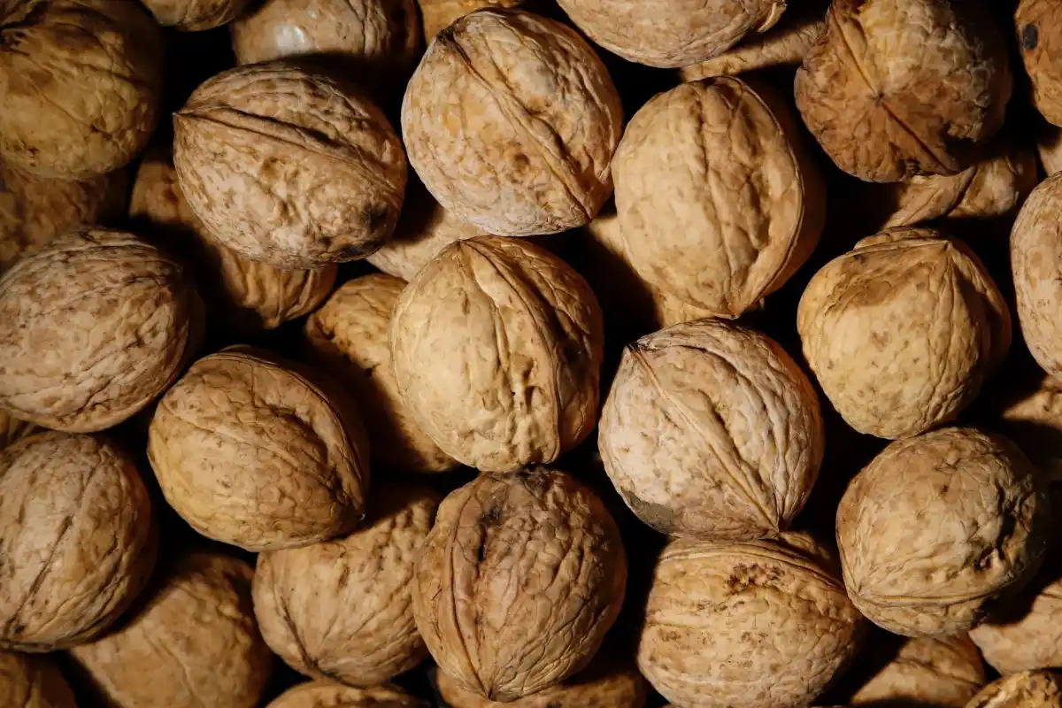 12-facts-about-national-walnut-day-may-17th