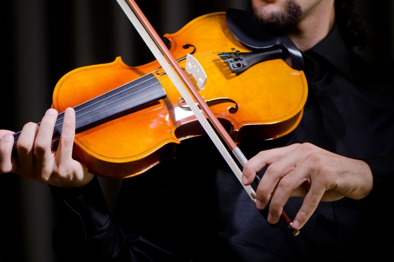 12-facts-about-world-fiddle-day-may-18th
