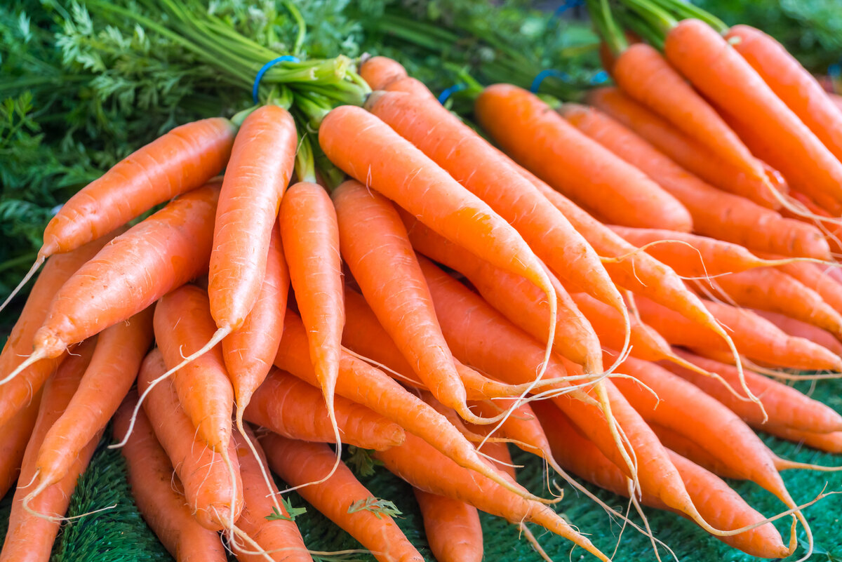 14-facts-about-international-carrot-day-april-4th