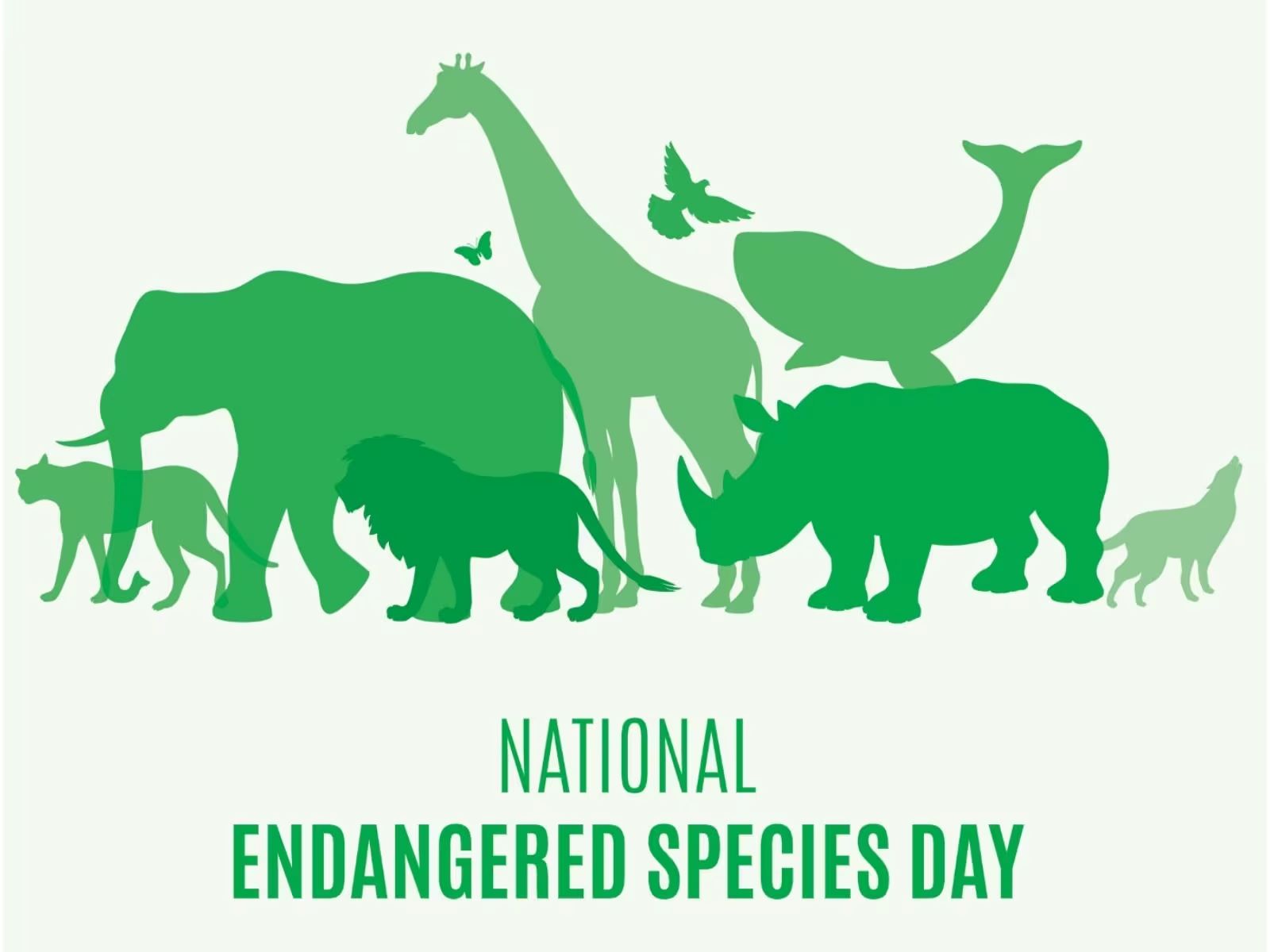 14 Facts About National Endangered Species Day May 17th 