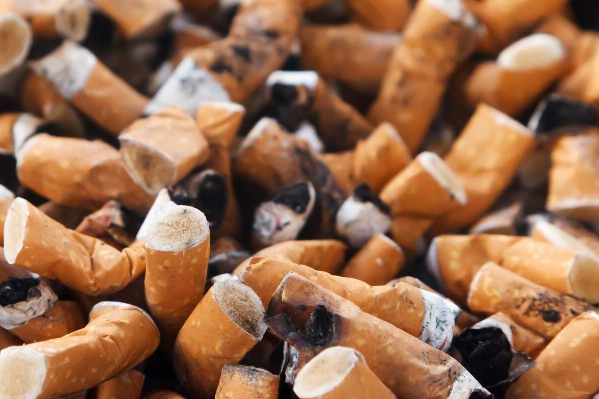 14-facts-about-take-down-tobacco-national-day-of-action-april-1st