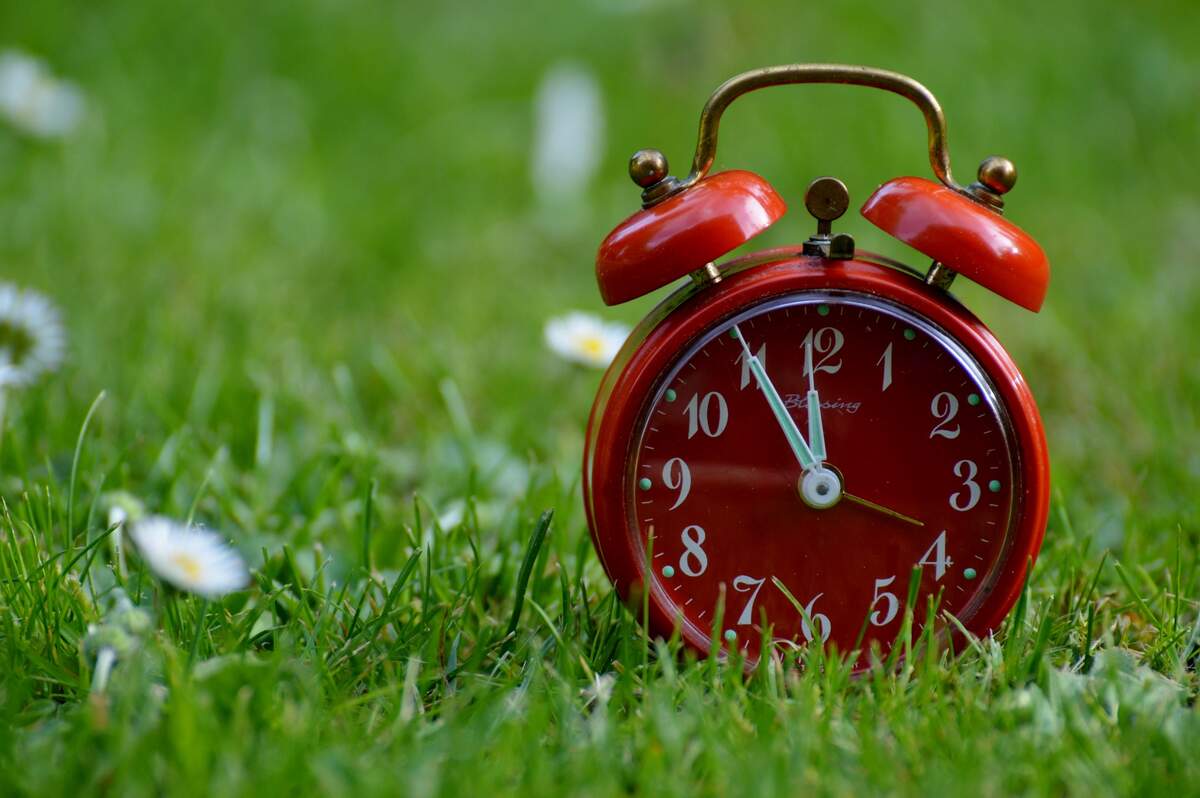 15-facts-about-biological-clock-day-april-28th