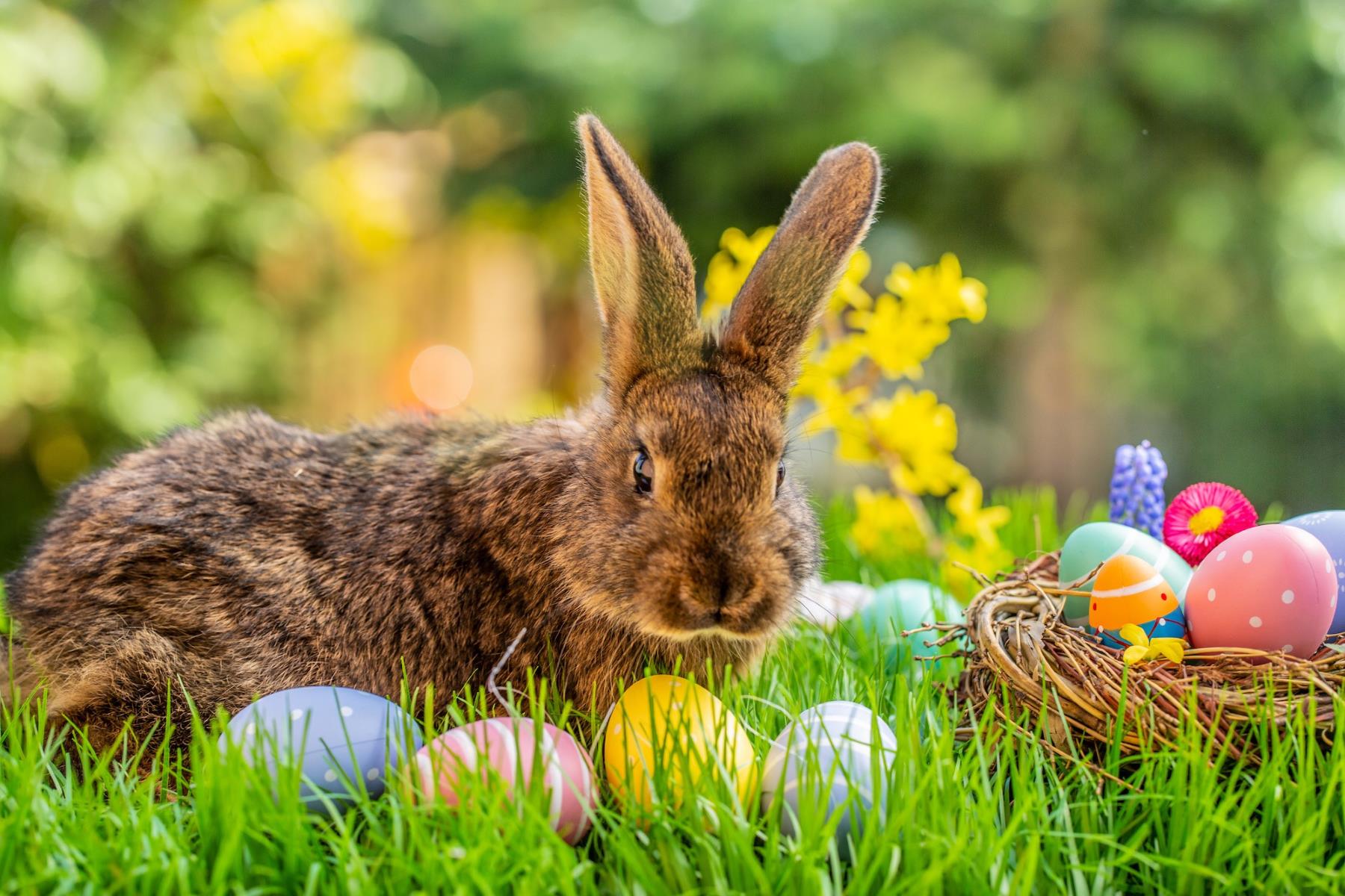 15-facts-about-easter-monday-april-1st