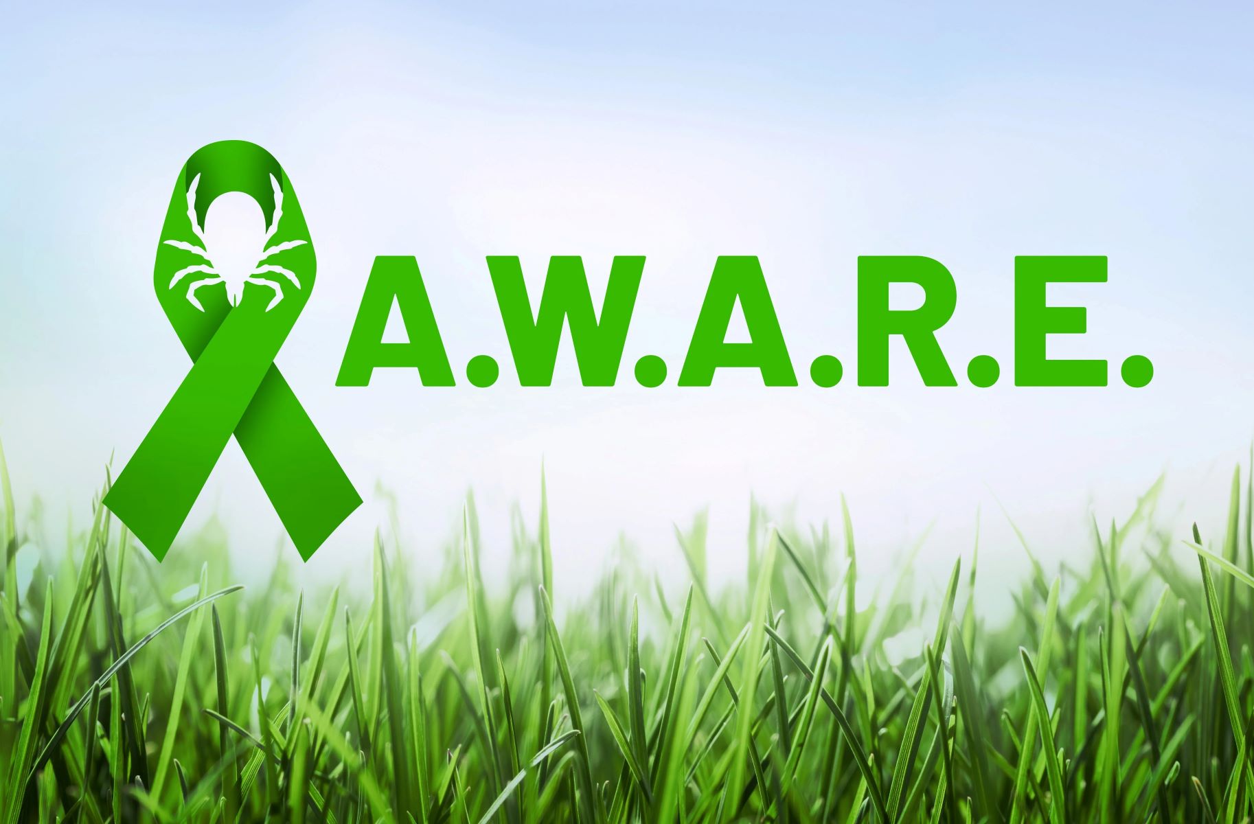 15 Facts About National Lyme Disease Awareness Month May 