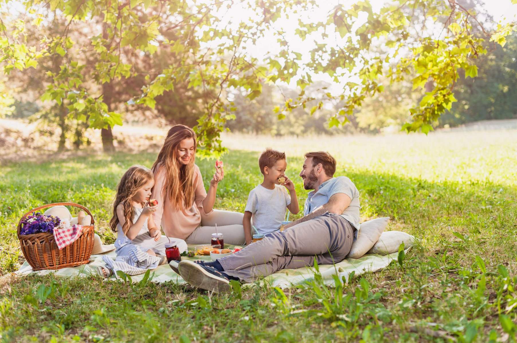 15 Facts About National Picnic Day April 23rd 