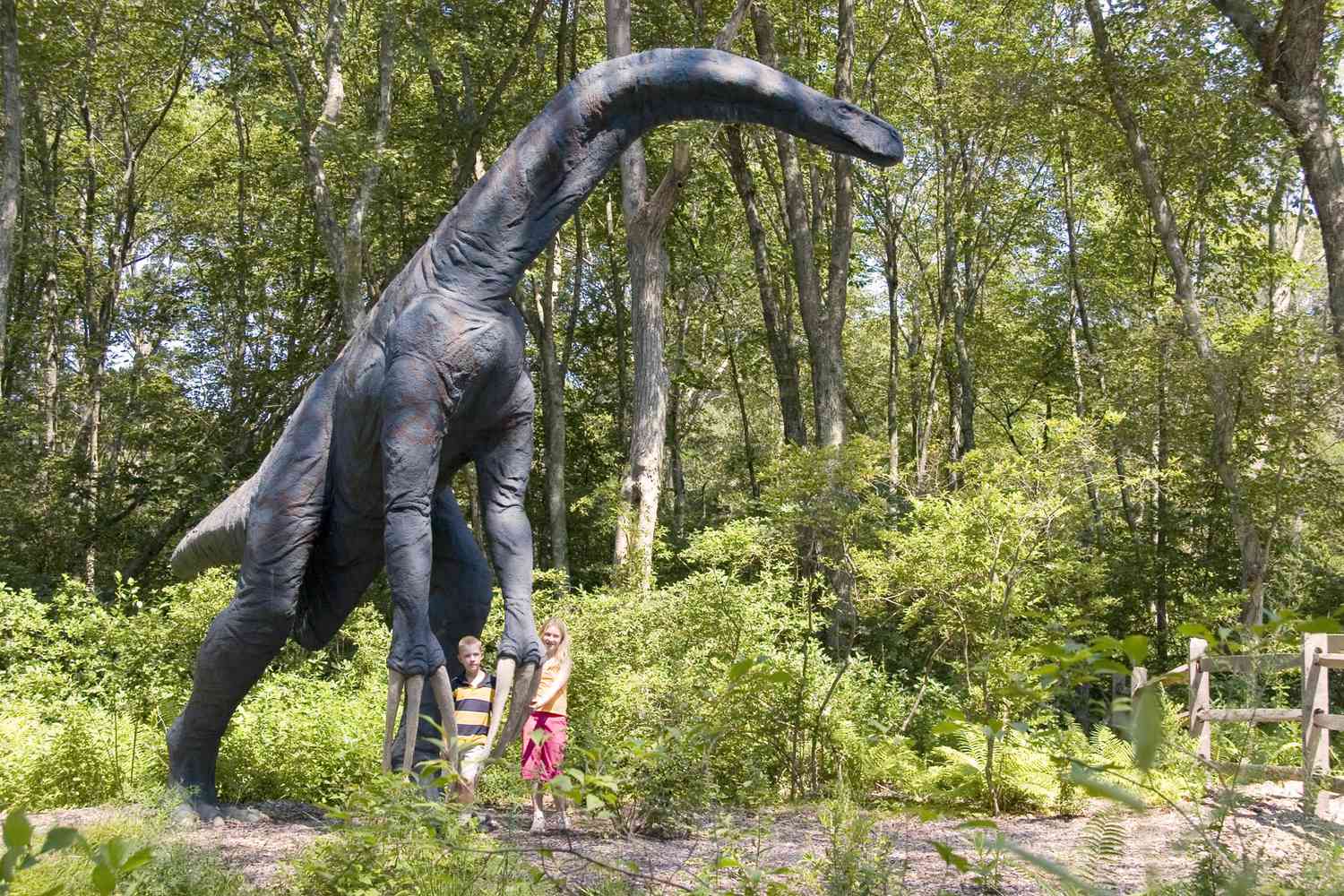 29-amazing-therizinosaurus-facts