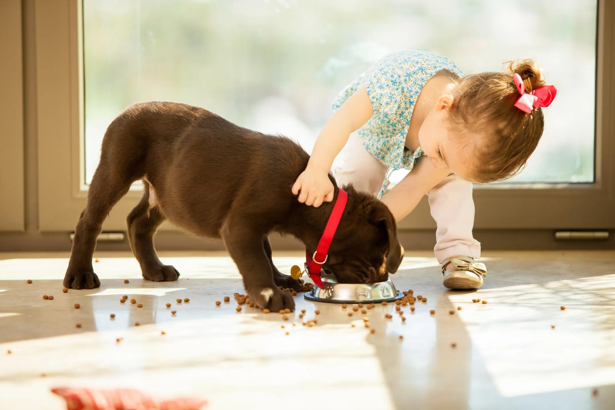 8-facts-about-national-kids-and-pets-day-april-26th