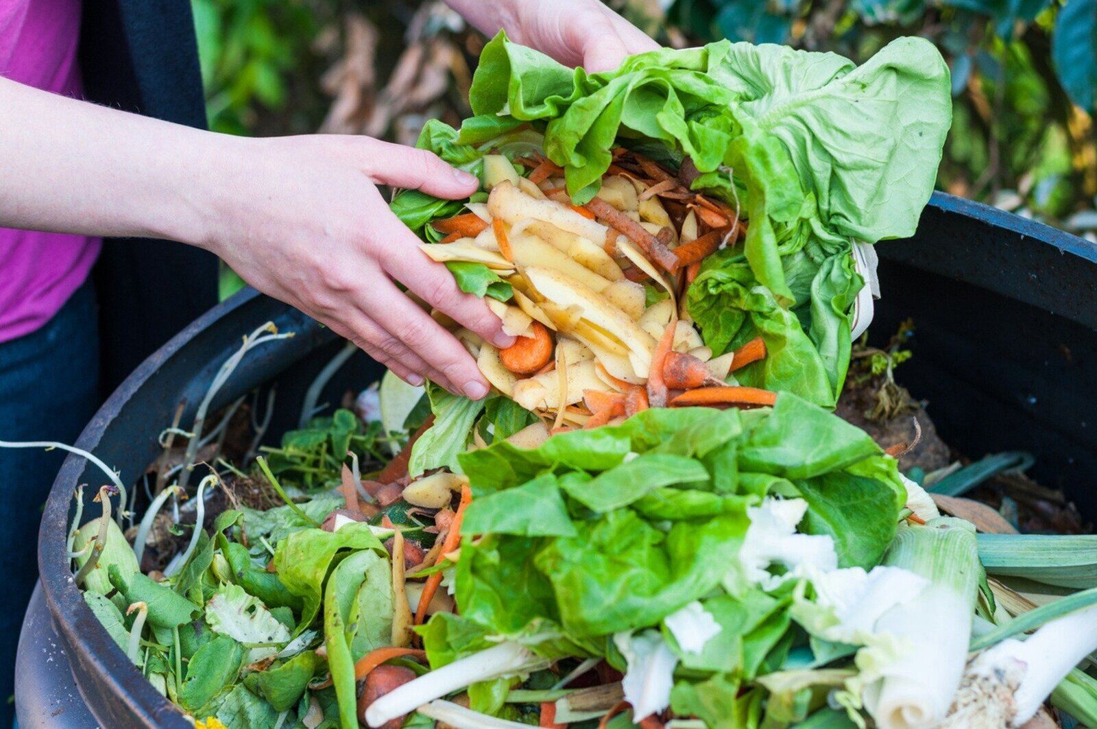 9 Facts About Stop Food Waste Day April 24th 