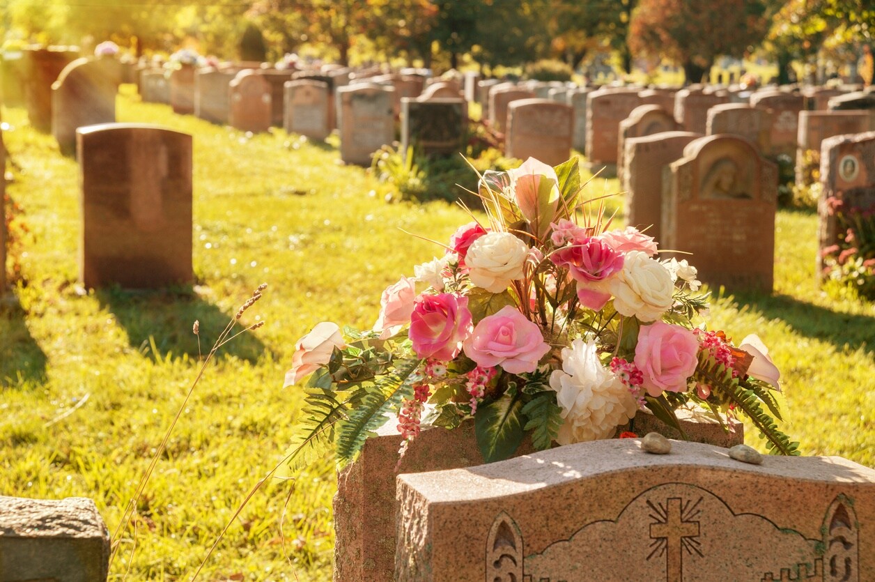 11-facts-about-love-your-burial-ground-week-jun-8th-to-jun-16th
