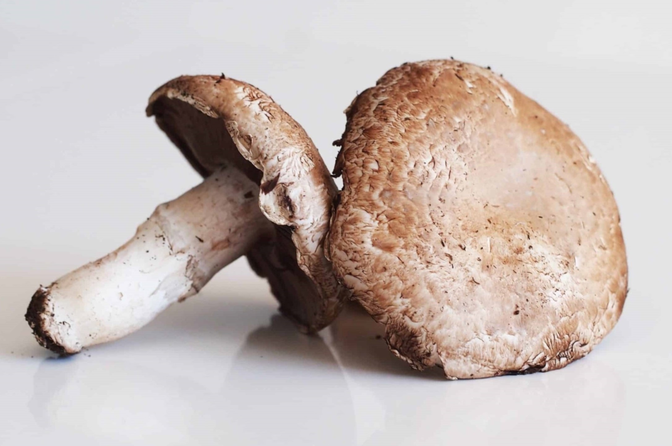 15-best-portabella-mushroom-nutrition-facts