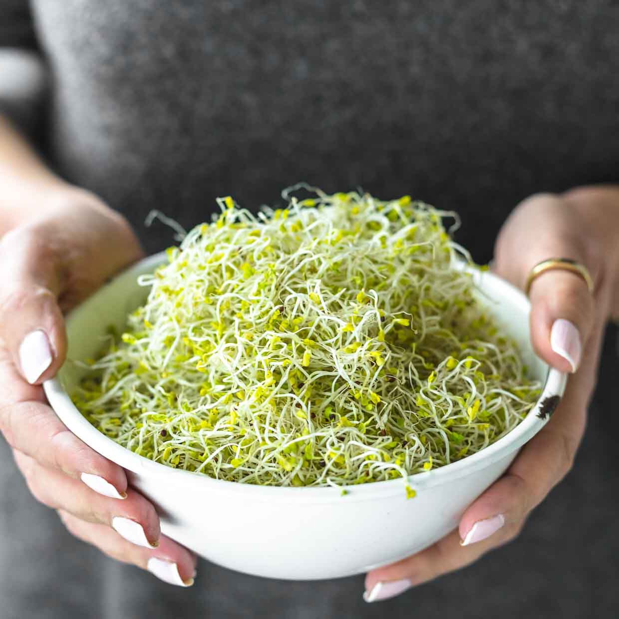 16-great-broccoli-sprouts-nutrition-facts