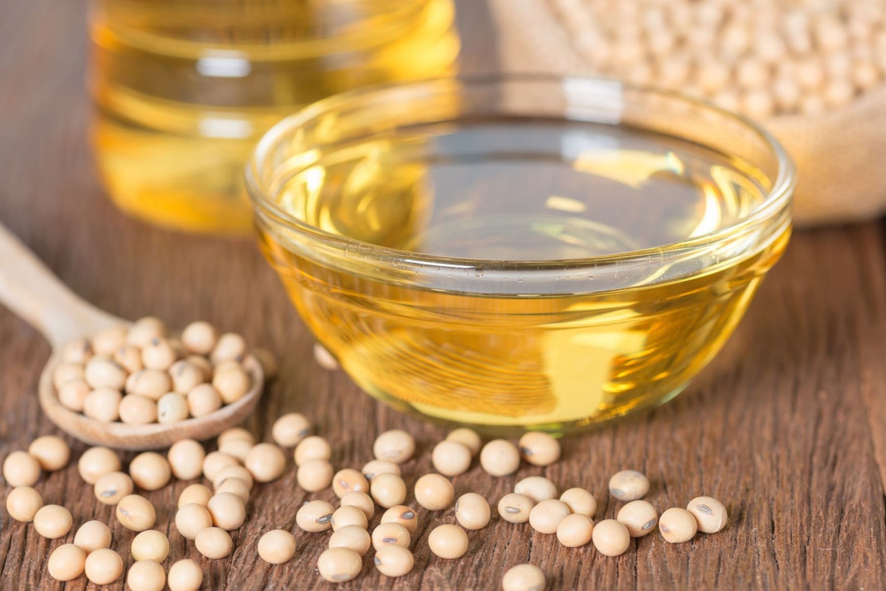 19-amazing-soybeans-oil-nutrition-facts