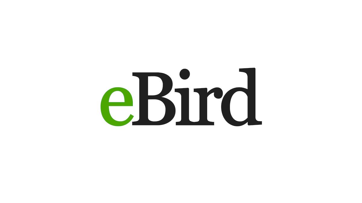 20-facts-about-ebird