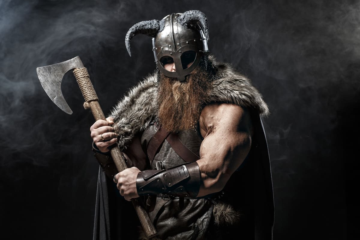 20-facts-about-viking-strength