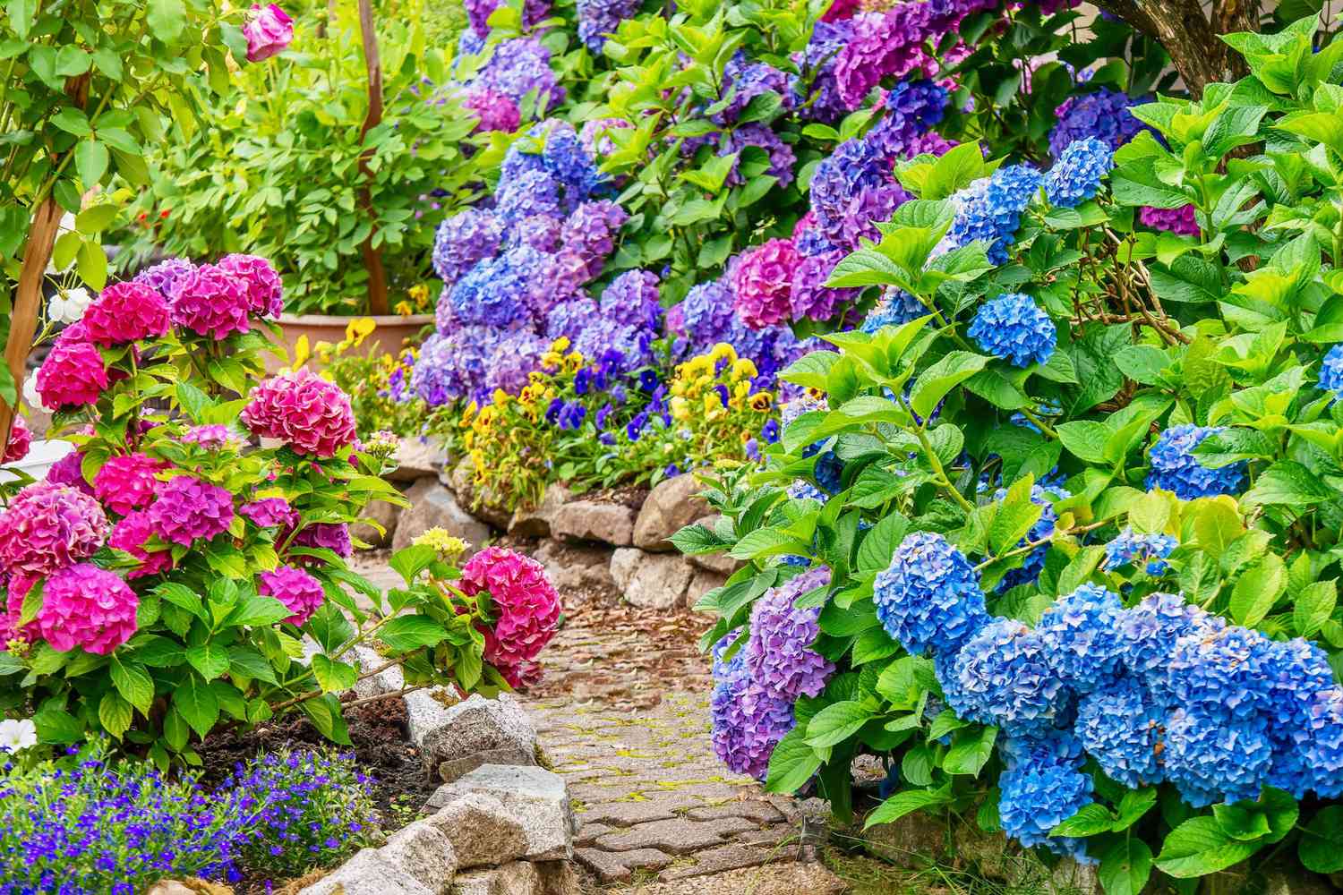 22-facts-about-flower-gardening