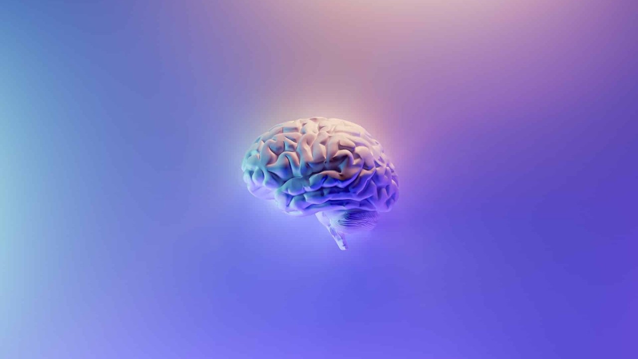 23-amazing-neurology-facts