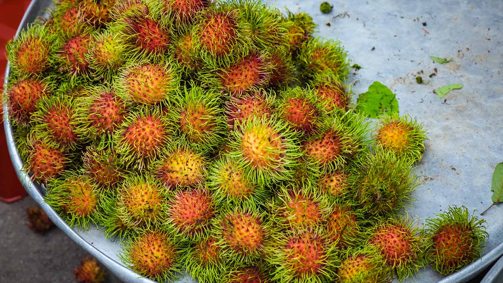 23-best-rambutan-nutrition-facts