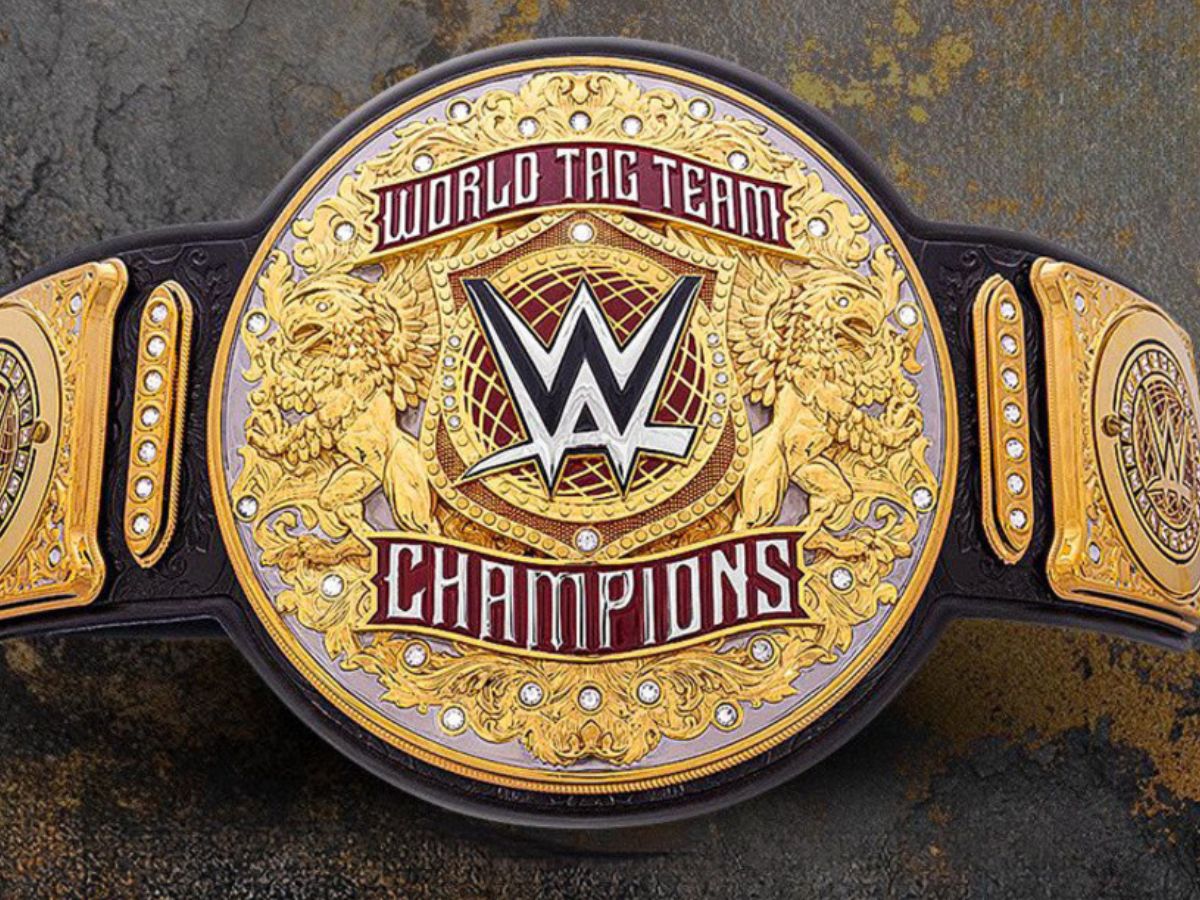 25-facts-about-tag-team-champion