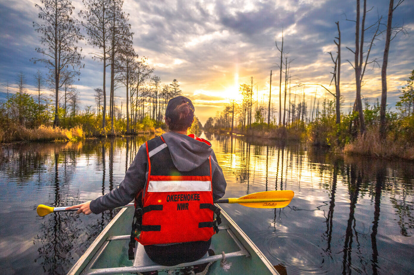 25-great-okefenokee-swamp-facts