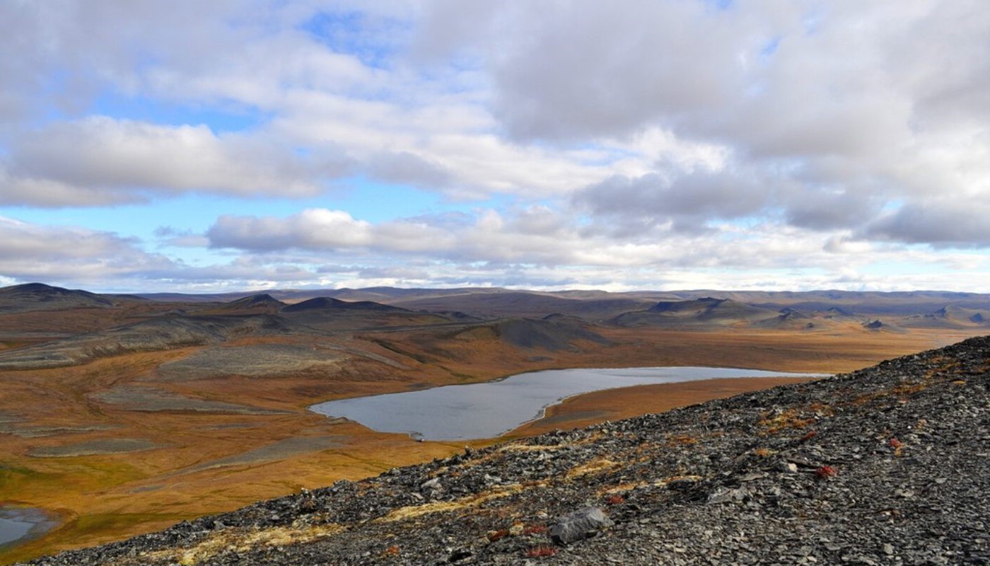 29-best-interesting-facts-about-the-arctic-tundra