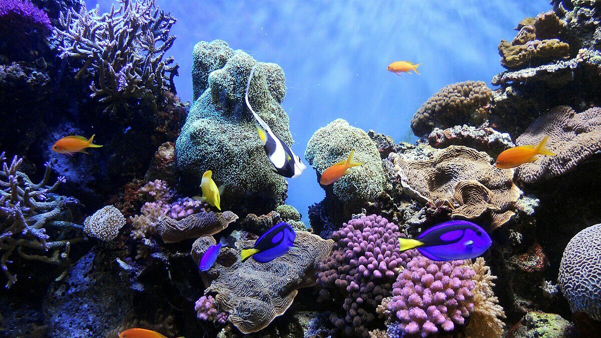 30-great-marine-biome-facts