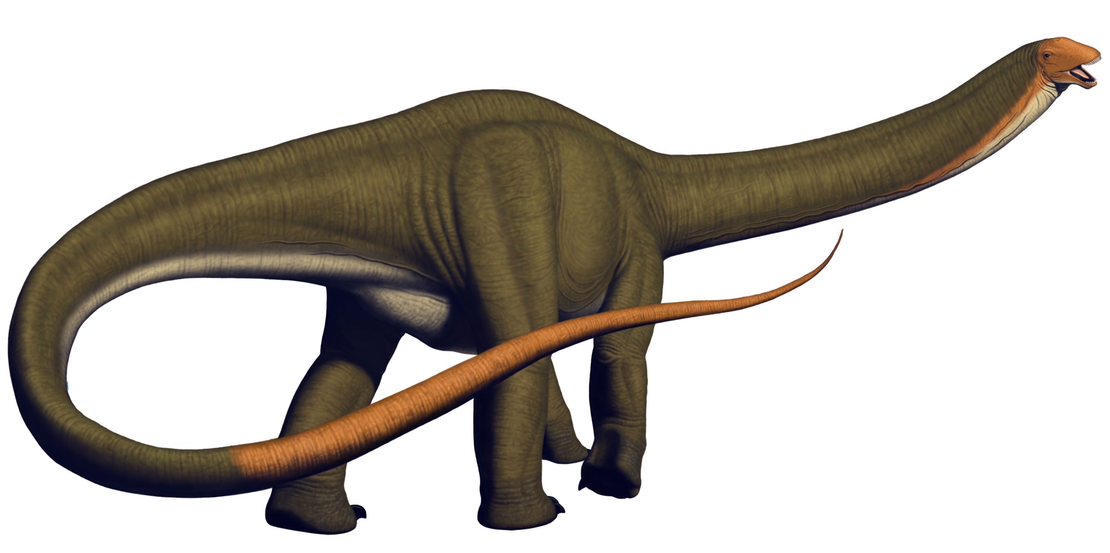 32-great-apatosaurus-facts
