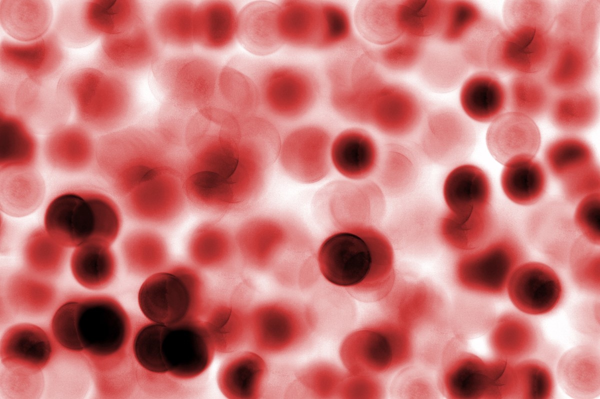 13-best-facts-about-blood-cells