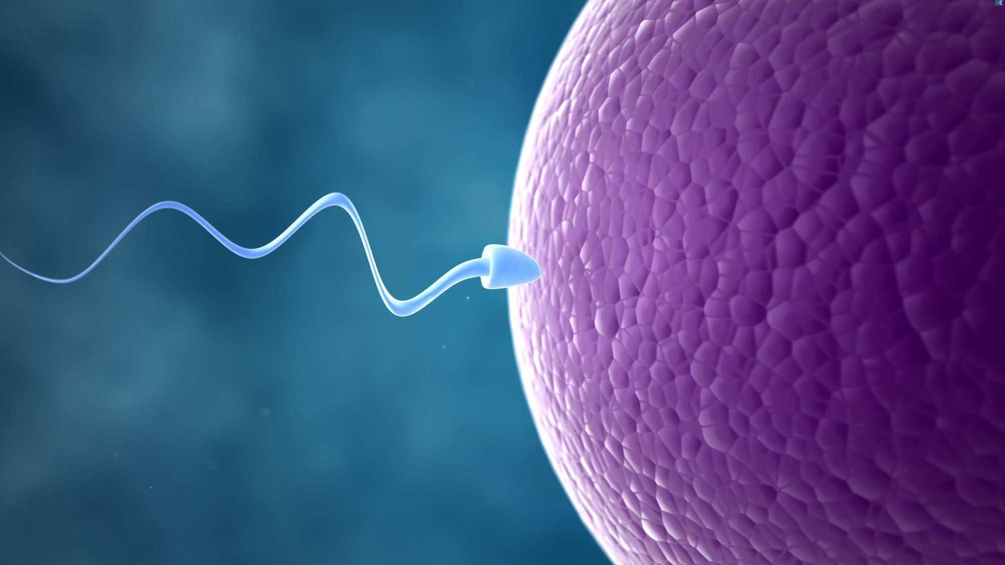 13-facts-about-infertility