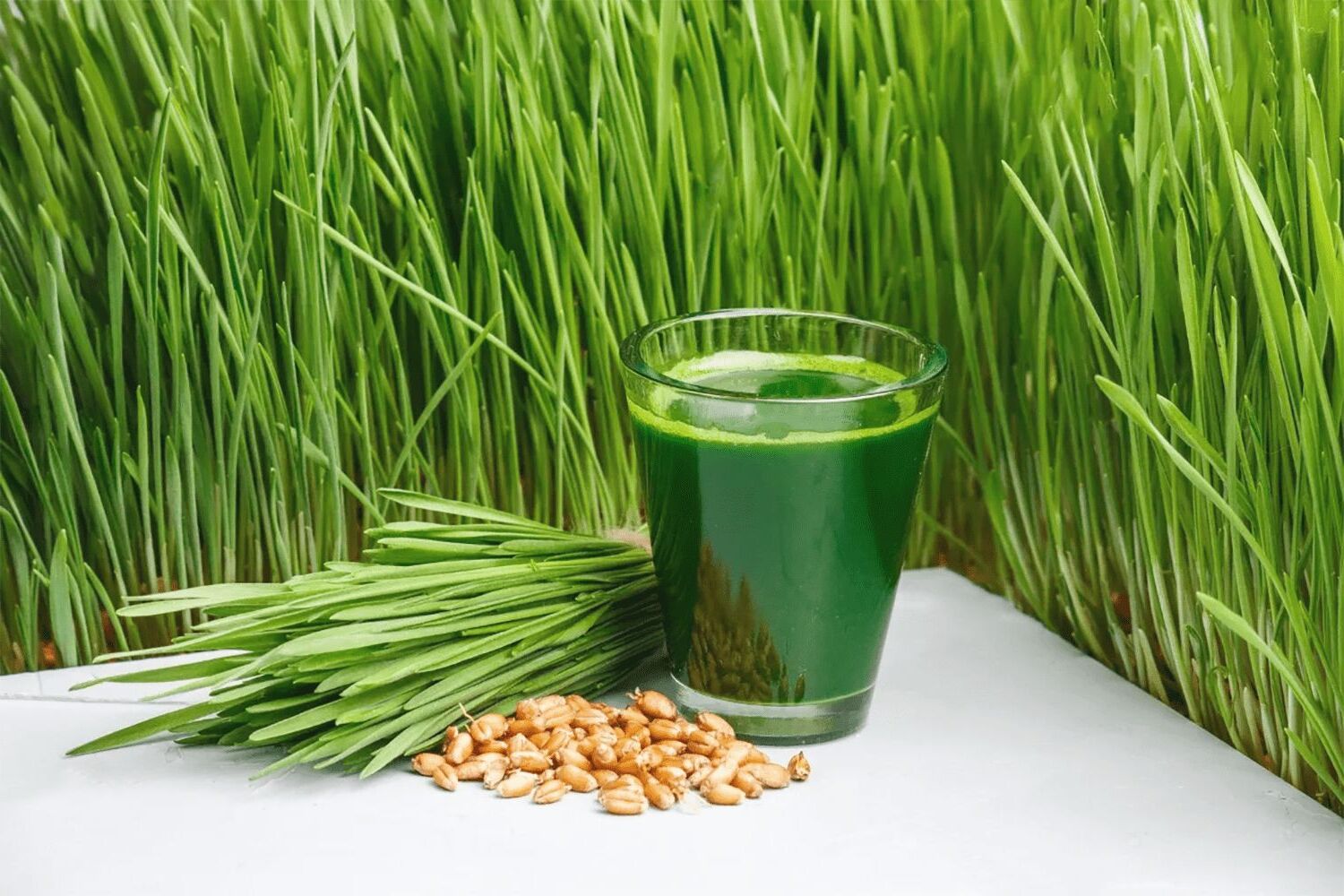 13-facts-about-wheat-grass