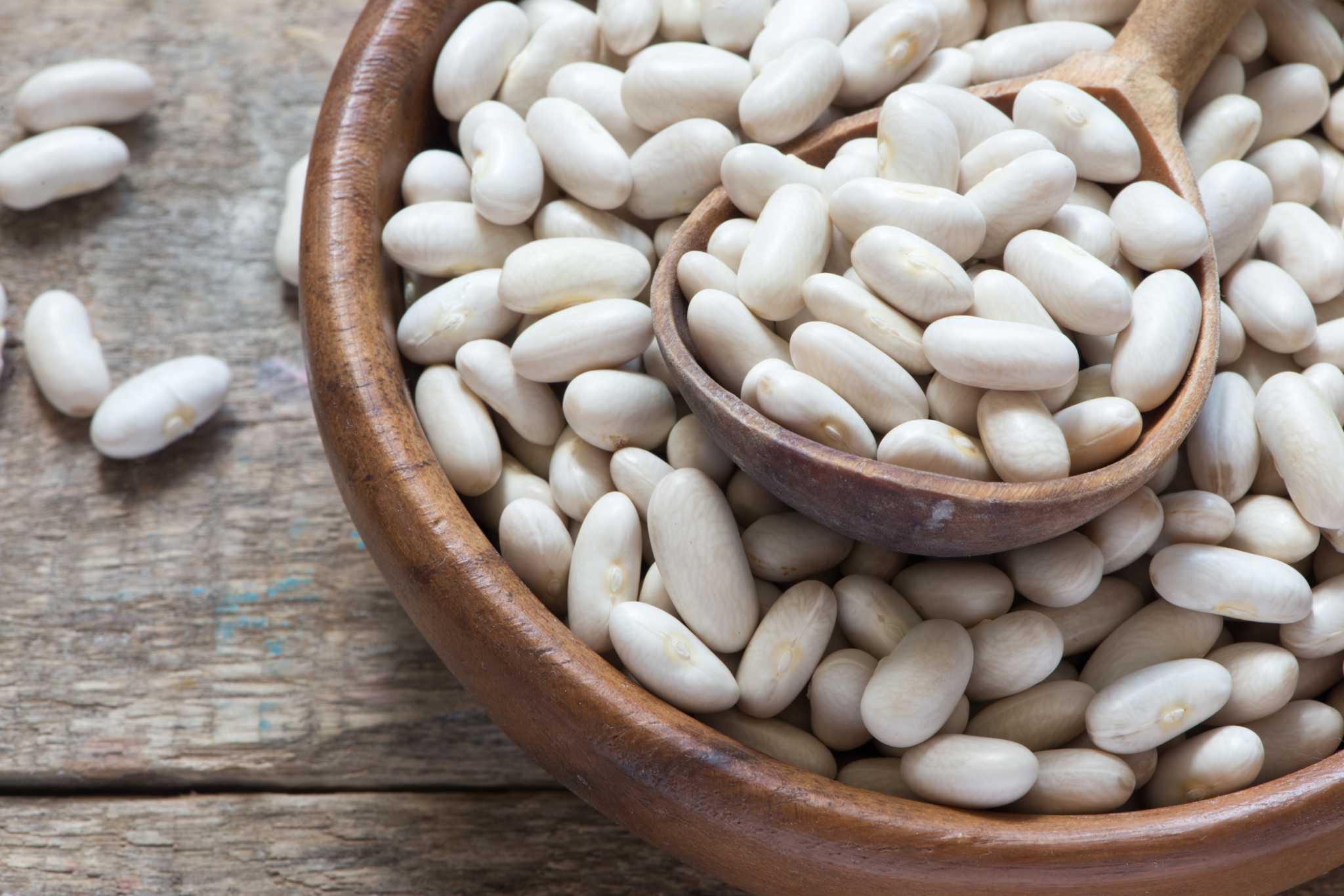 13-facts-about-white-beans-nutrition