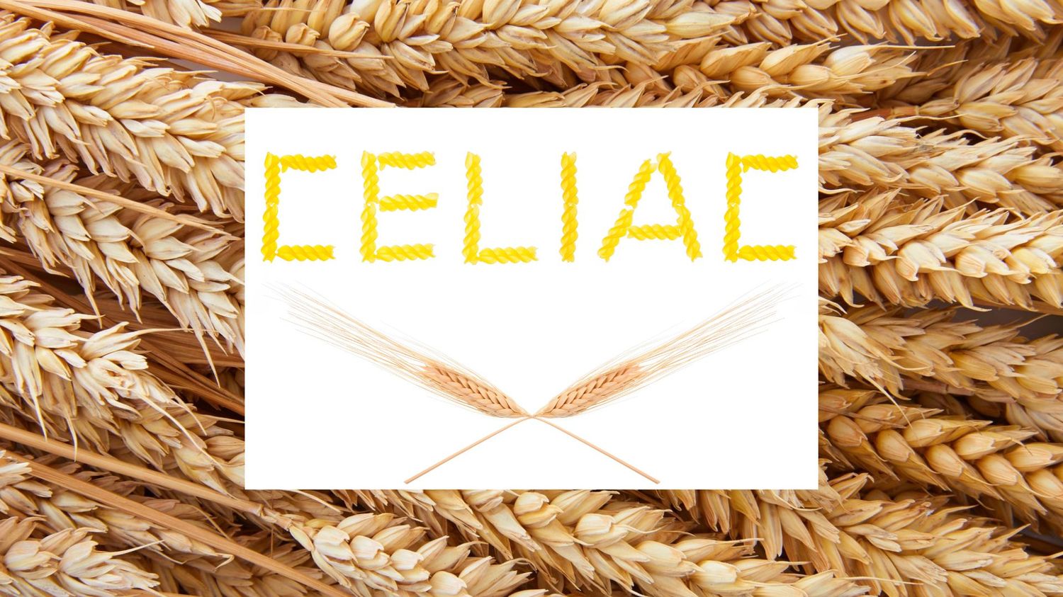14-facts-about-facts-about-celiac-disease